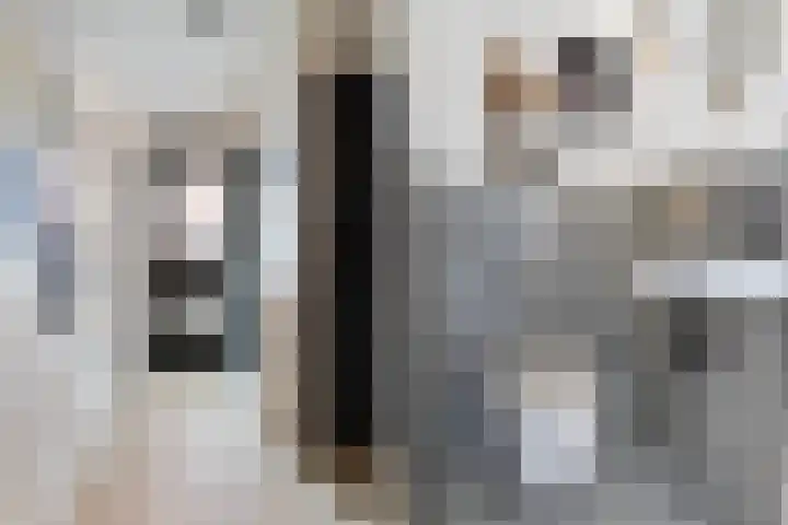 Zanderijweg 57 Apeldoorn thumbnail 5