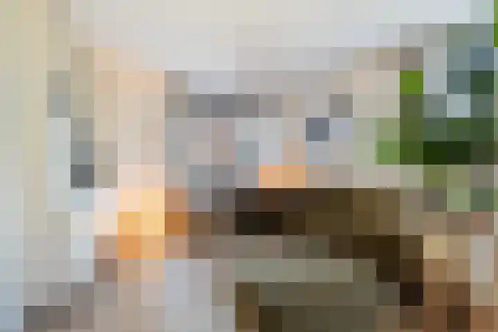 Zanderijweg 57 Apeldoorn thumbnail 8