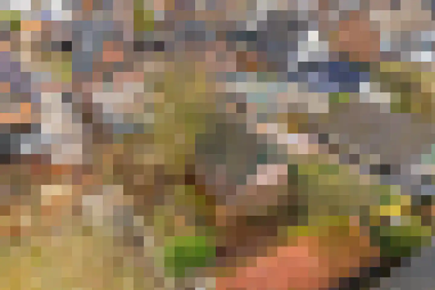 Zanderijweg 96 Apeldoorn thumbnail 32