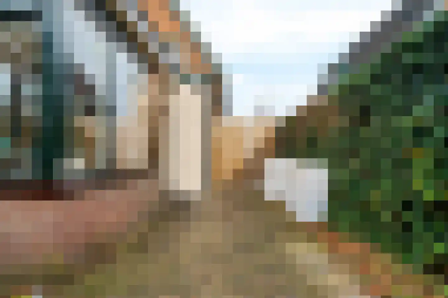 Zanderijweg 96 Apeldoorn thumbnail 35