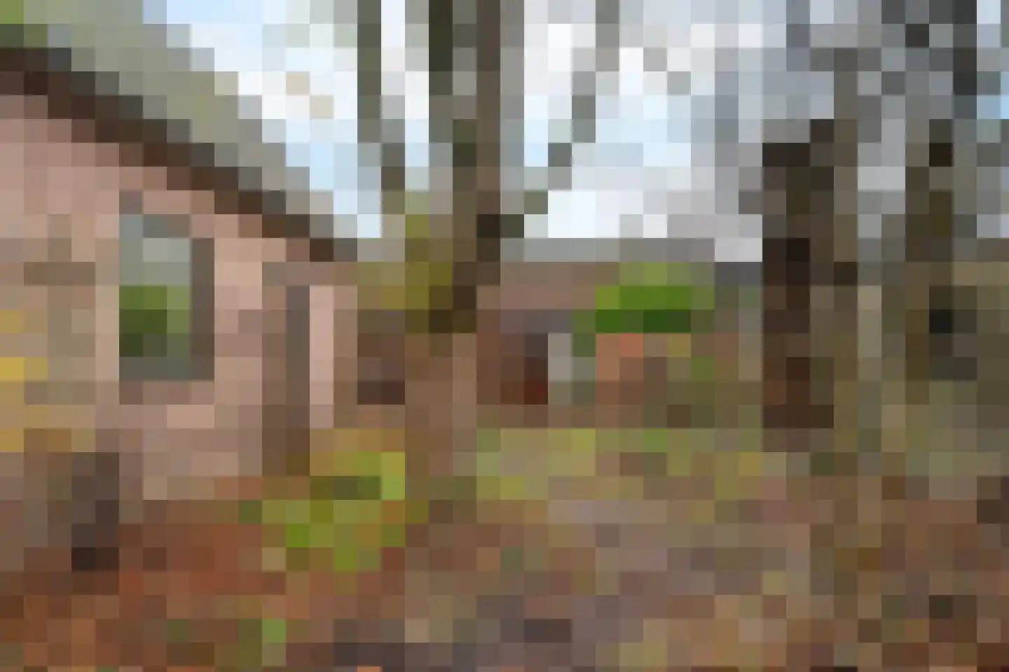 Zanderijweg 96 Apeldoorn thumbnail 37