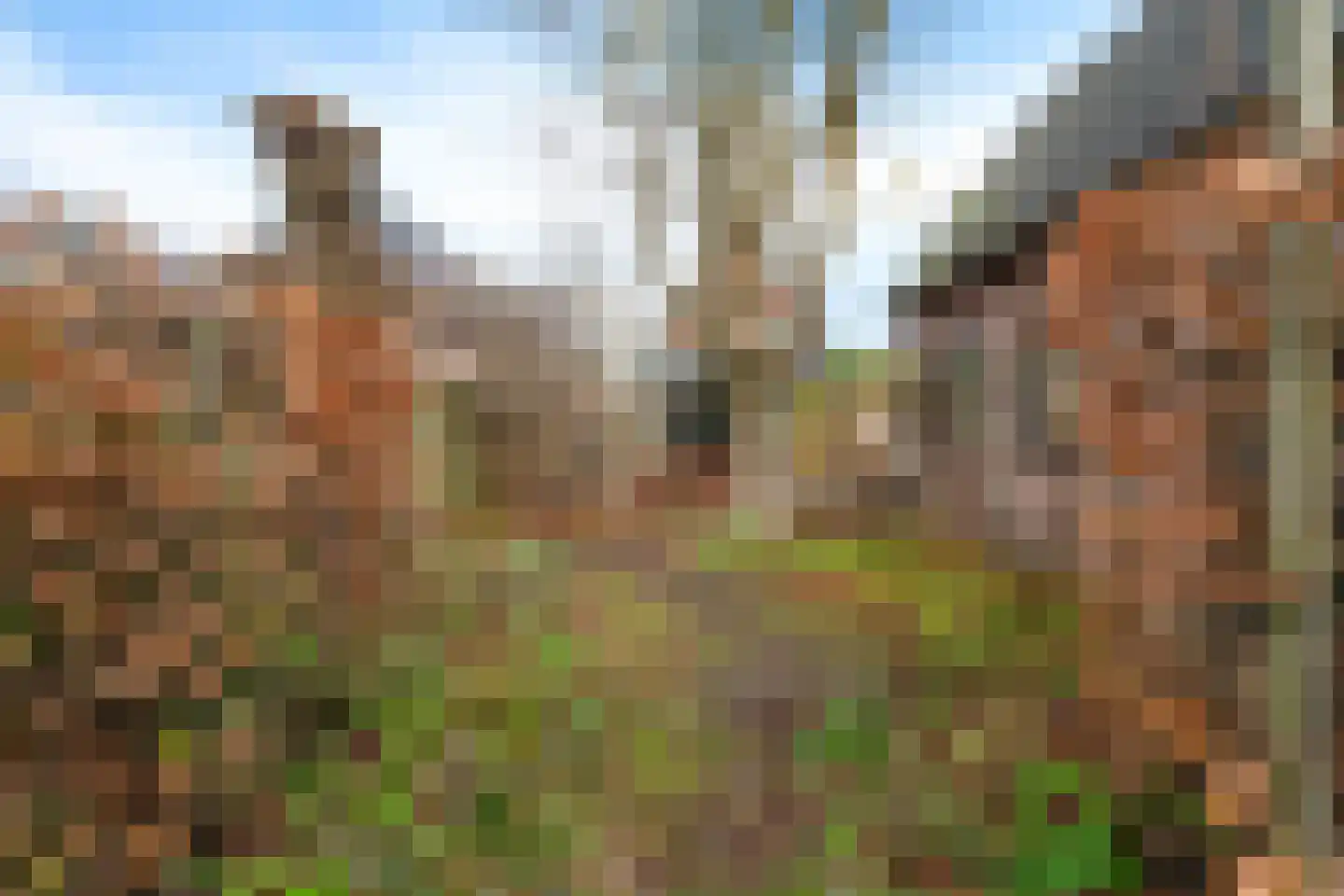 Zanderijweg 96 Apeldoorn thumbnail 38