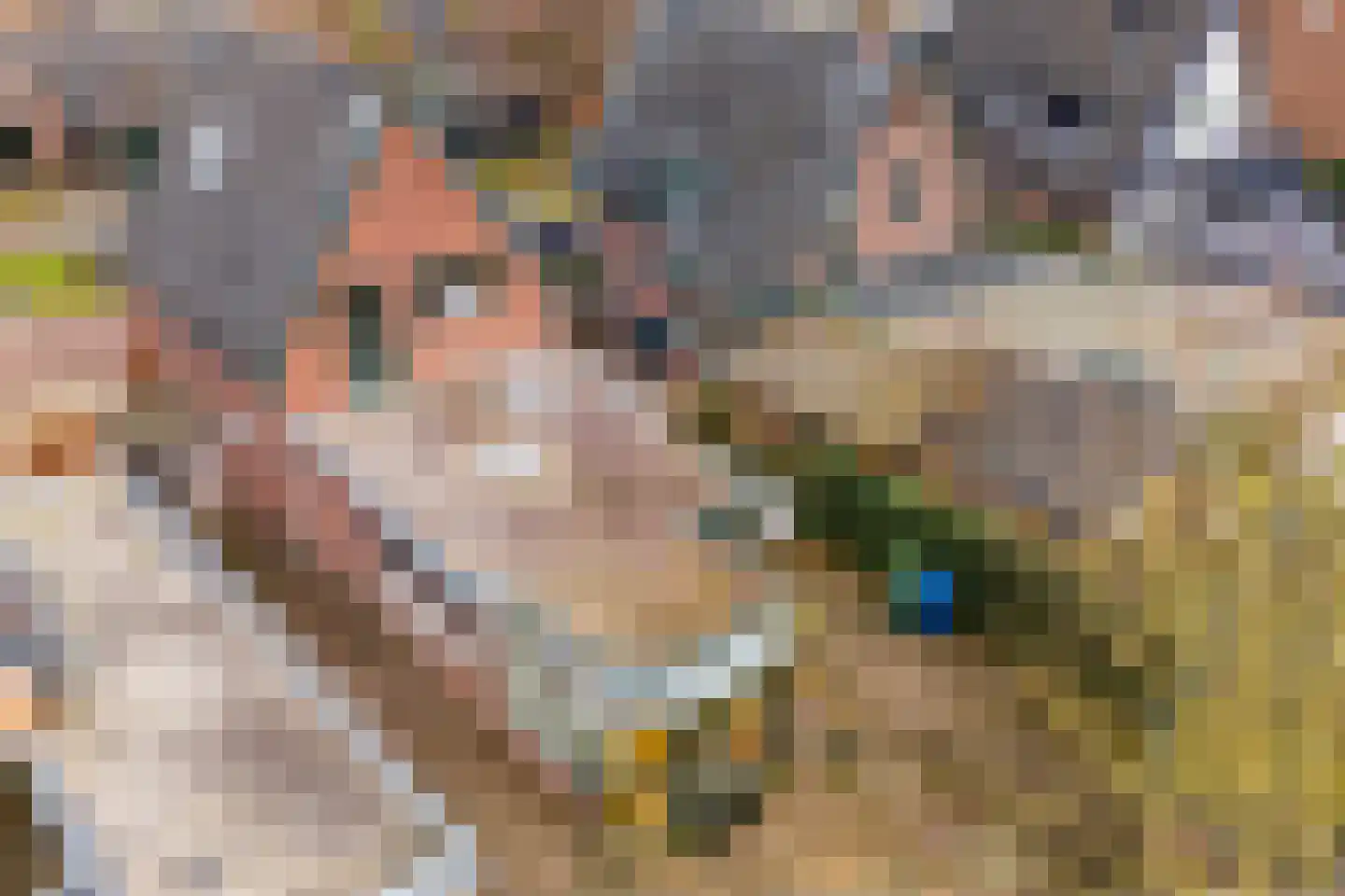 Zanderijweg 96 Apeldoorn thumbnail 4