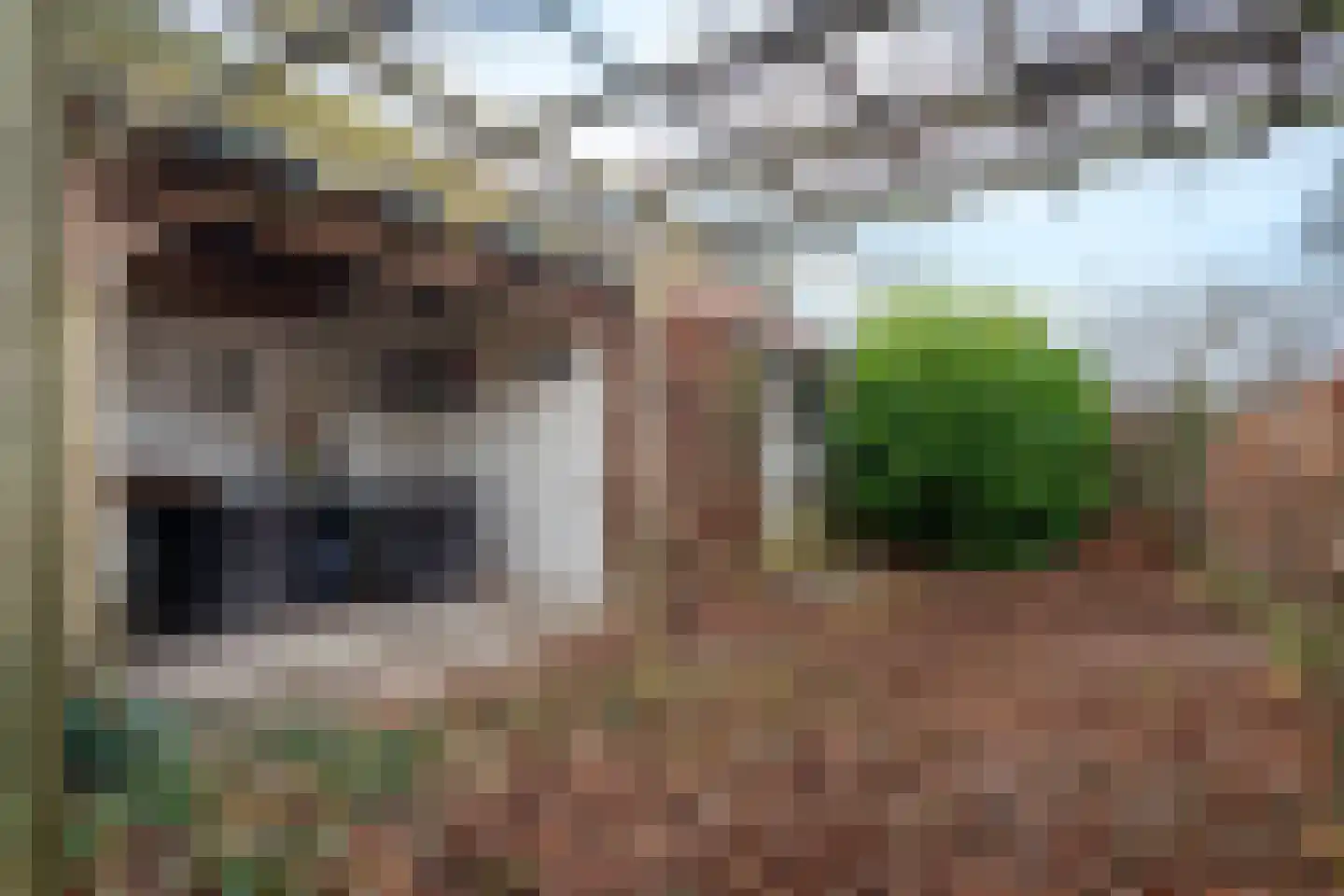 Zanderijweg 96 Apeldoorn thumbnail 40
