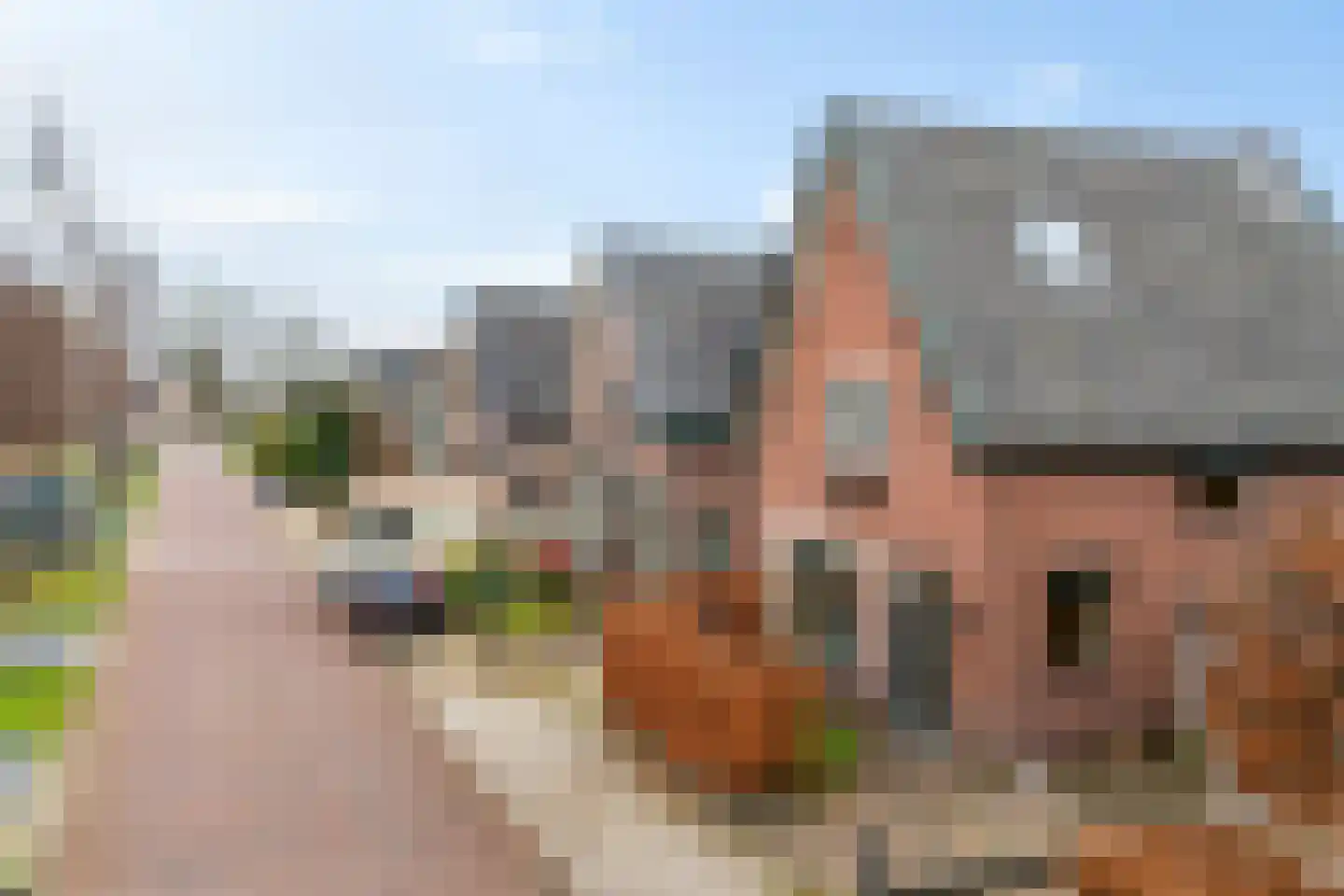Zanderijweg 96 Apeldoorn thumbnail 5