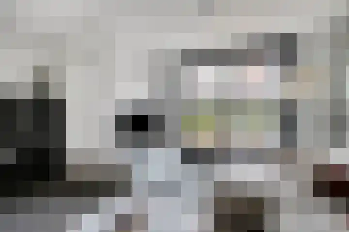 Zandersbuurt 17 Alkmaar thumbnail 15