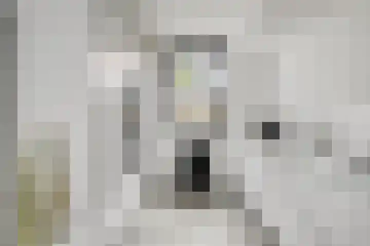 Zandersbuurt 17 Alkmaar thumbnail 18