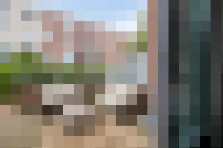 Zandersbuurt 17 Alkmaar thumbnail 38