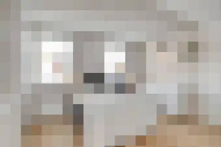 Zandersbuurt 17 Alkmaar thumbnail 4