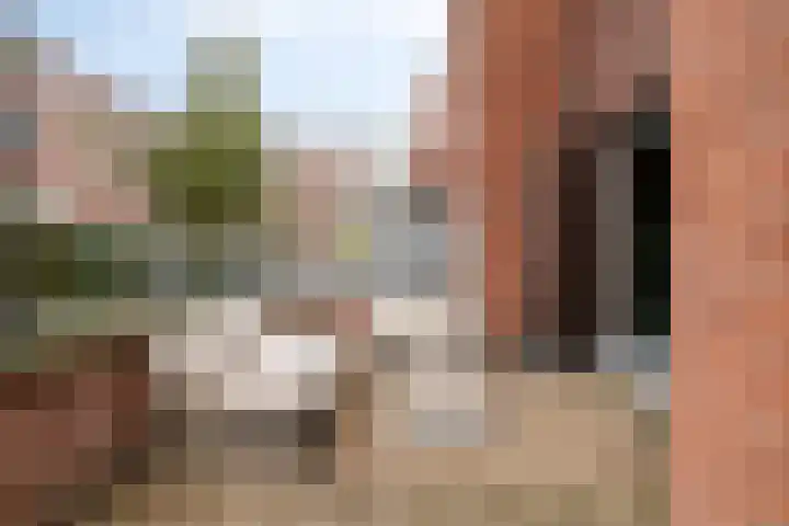 Zandersbuurt 17 Alkmaar thumbnail 5