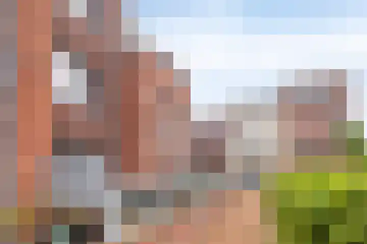 Zandersbuurt 17 Alkmaar thumbnail 8