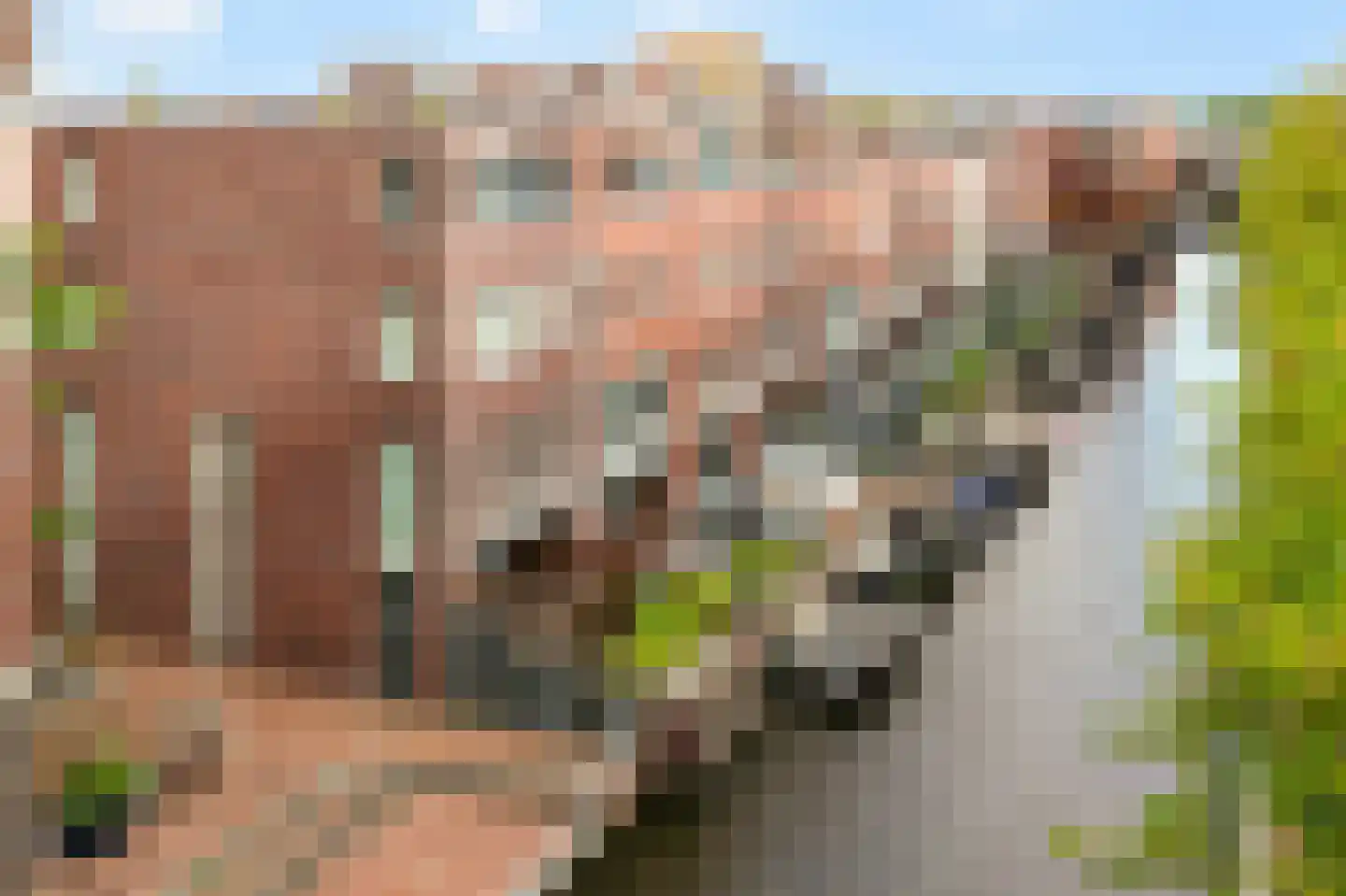 Zandersbuurt 22 Alkmaar