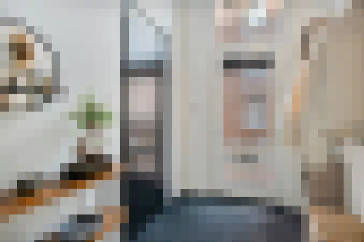 Zandersbuurt 22 Alkmaar thumbnail 11