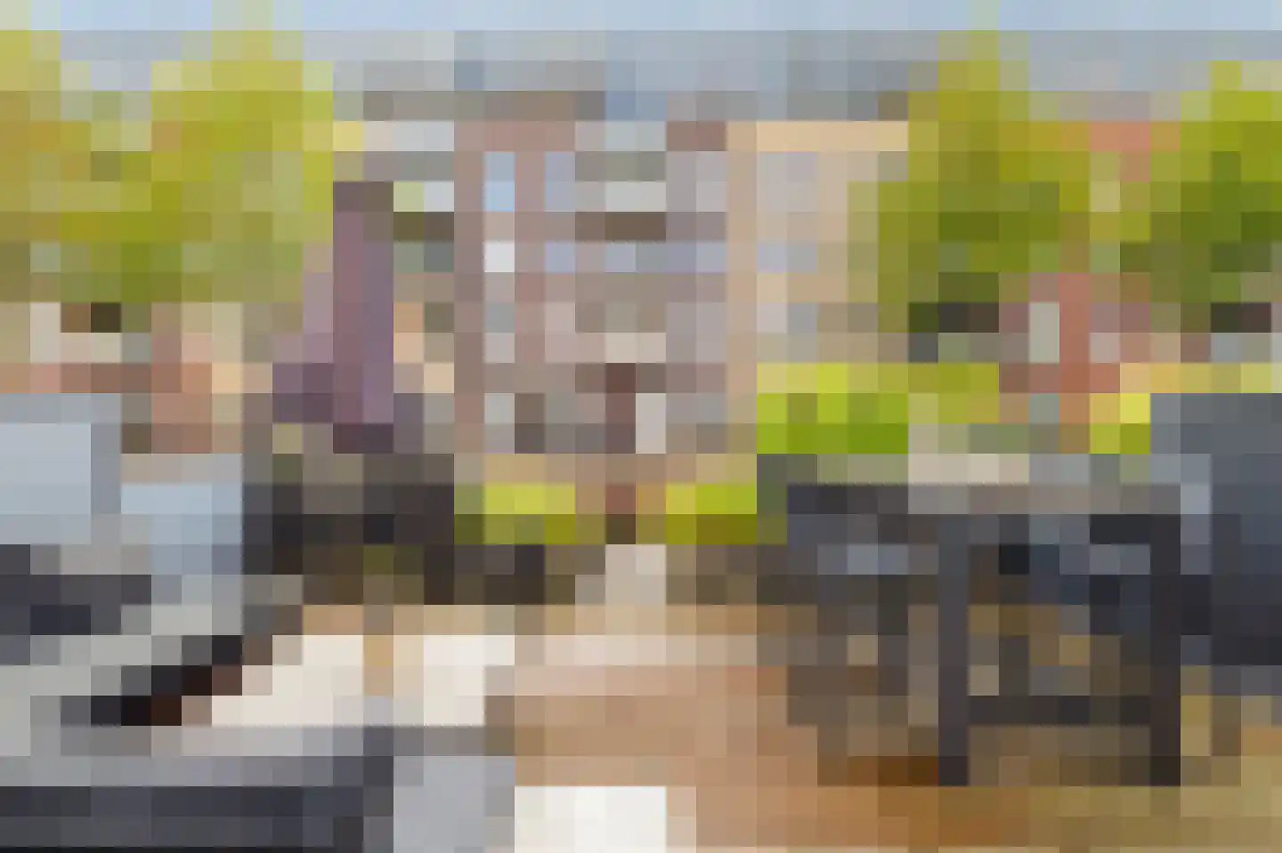 Zandersbuurt 22 Alkmaar thumbnail 18