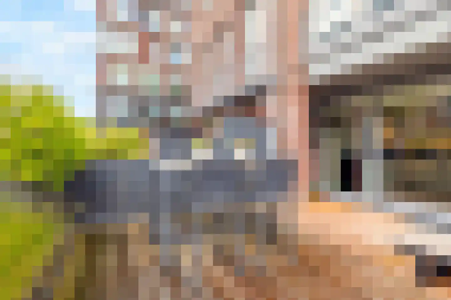 Zandersbuurt 22 Alkmaar thumbnail 20
