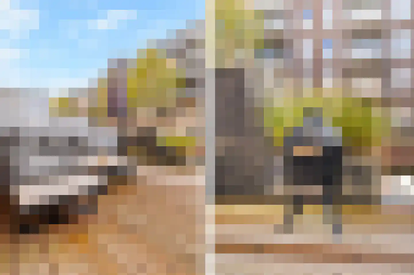 Zandersbuurt 22 Alkmaar thumbnail 21