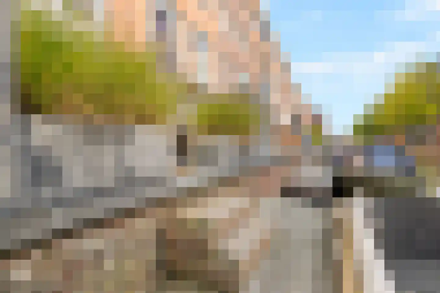 Zandersbuurt 22 Alkmaar thumbnail 24