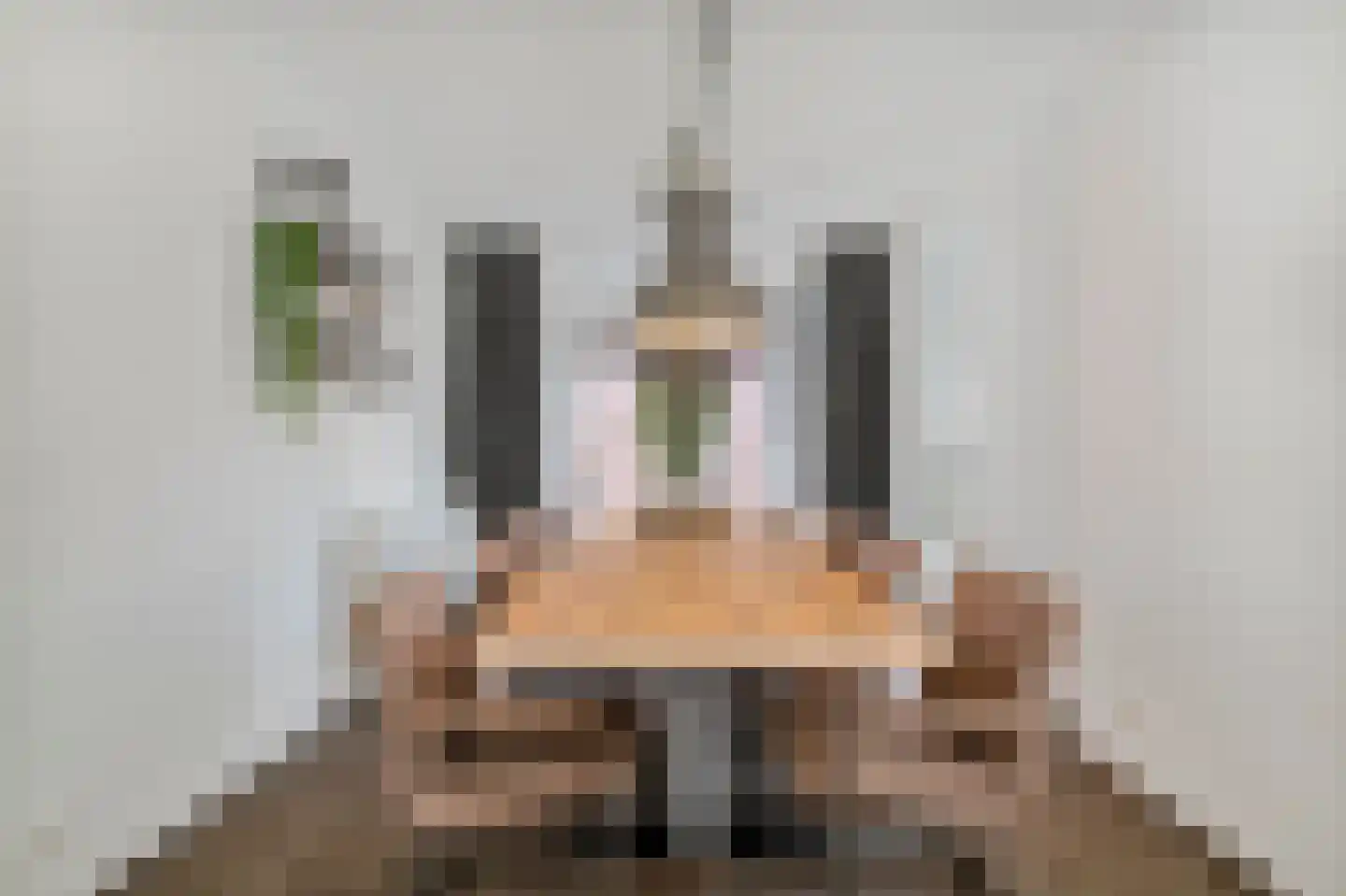 Zandersbuurt 22 Alkmaar thumbnail 28