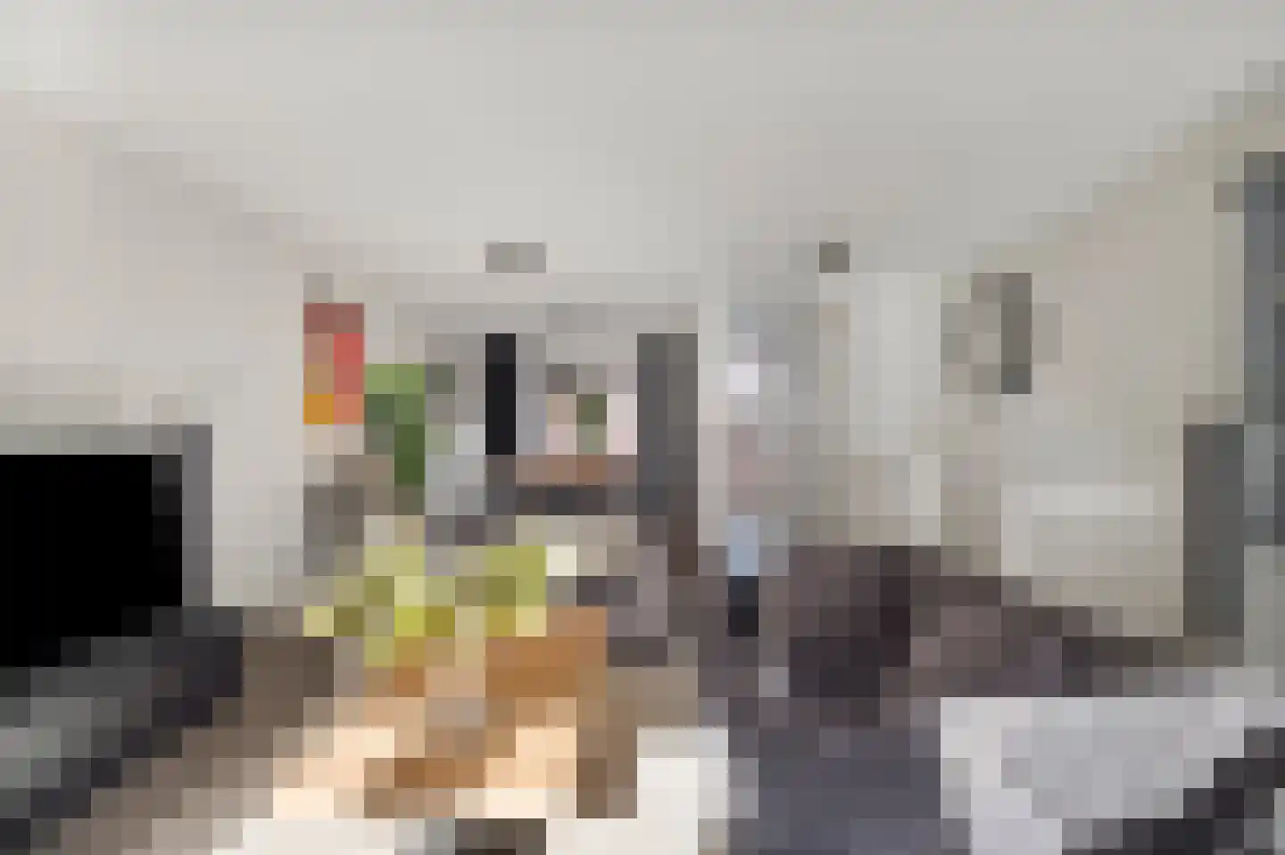 Zandersbuurt 22 Alkmaar thumbnail 32