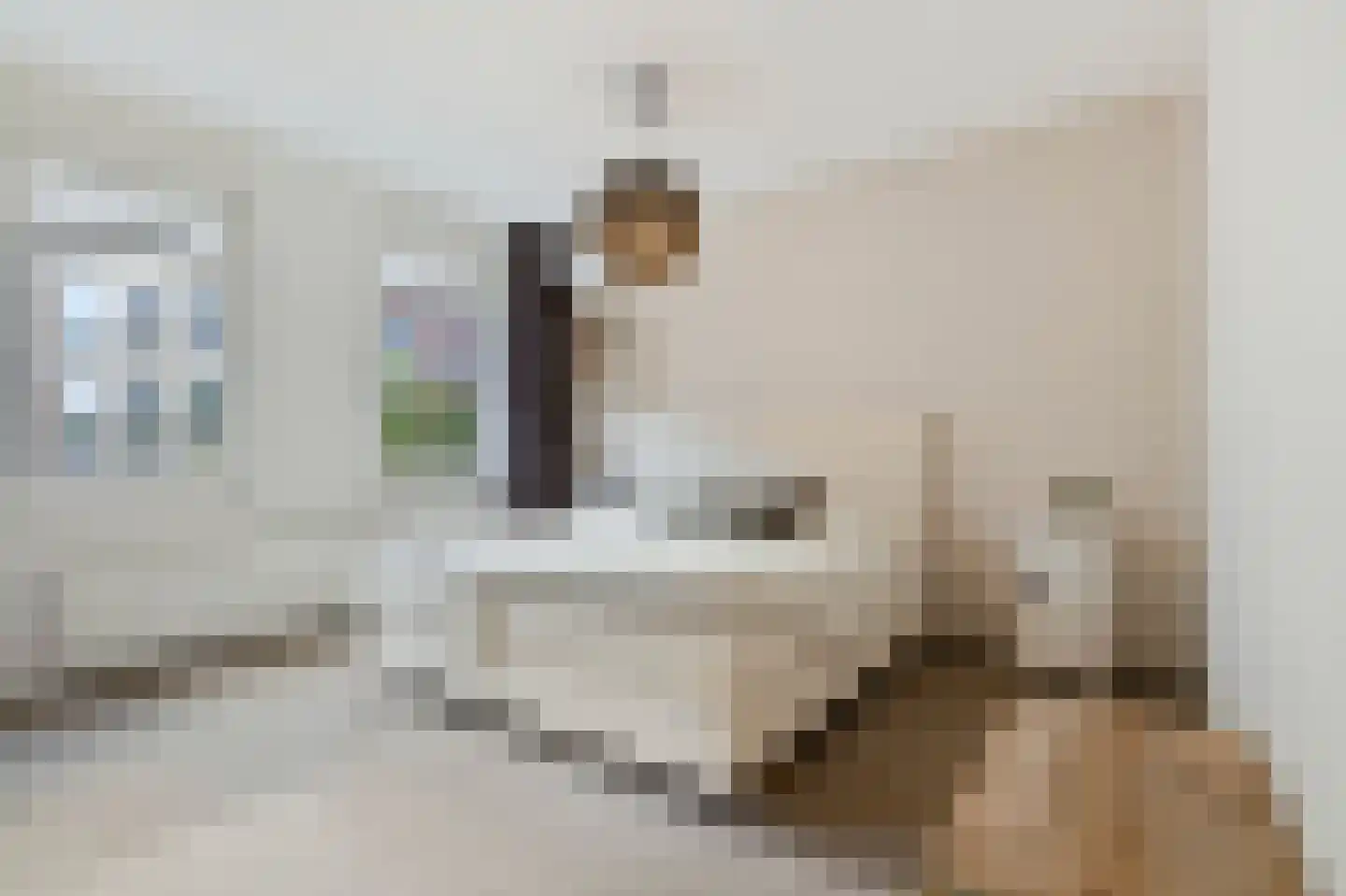 Zandersbuurt 22 Alkmaar thumbnail 35