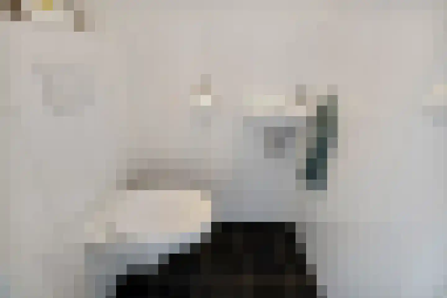 Zandersbuurt 22 Alkmaar thumbnail 42