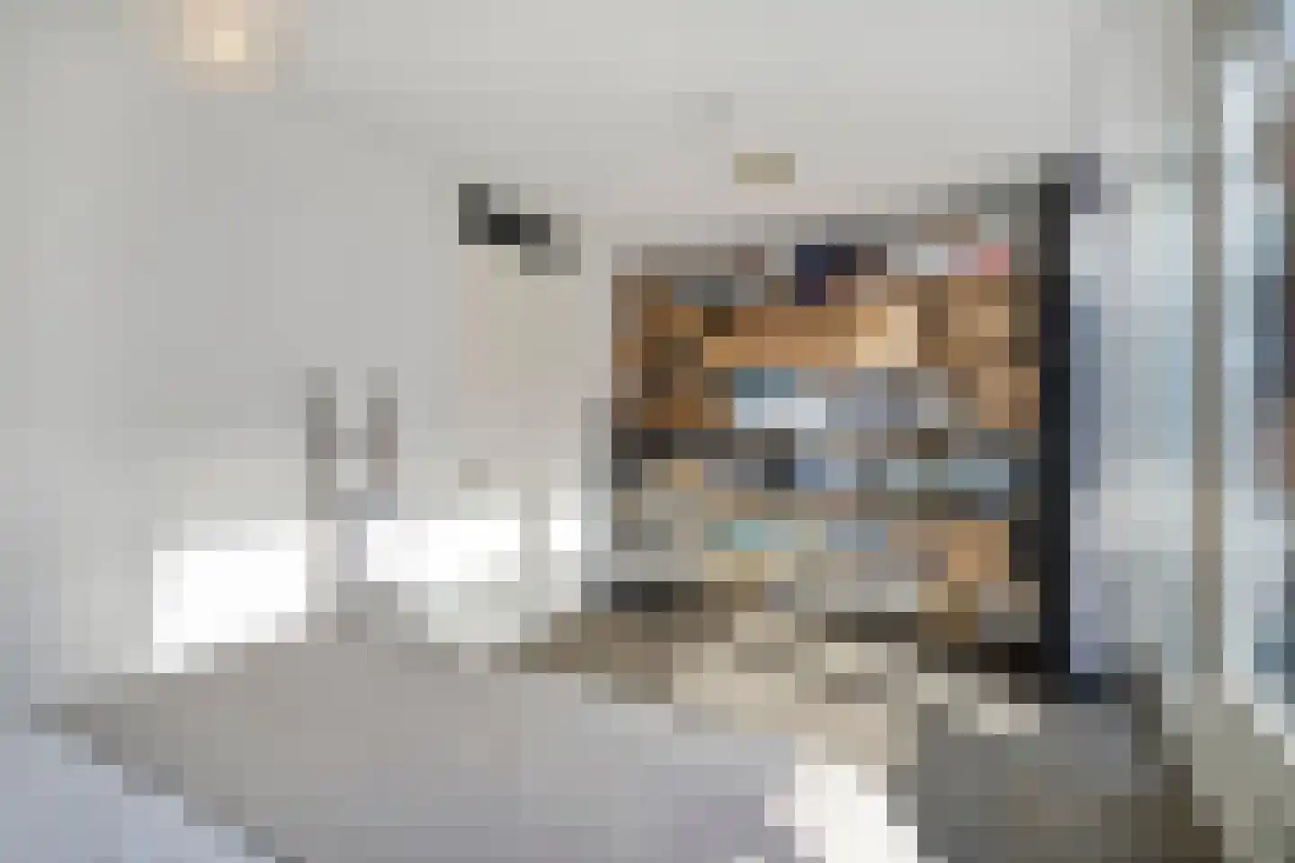 Zandersbuurt 22 Alkmaar thumbnail 48