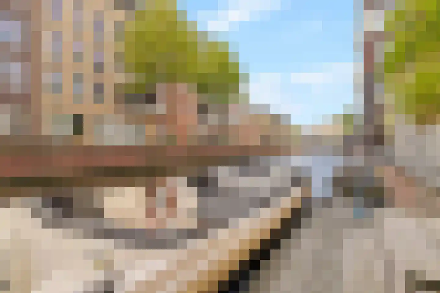 Zandersbuurt 22 Alkmaar thumbnail 5