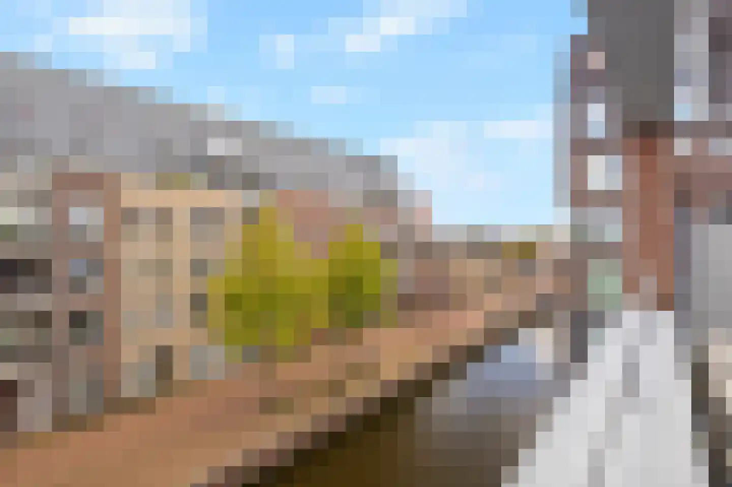 Zandersbuurt 22 Alkmaar thumbnail 50