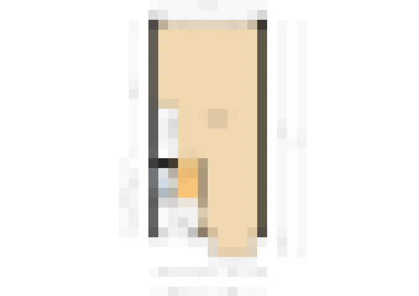Zandersbuurt 22 Alkmaar thumbnail 55