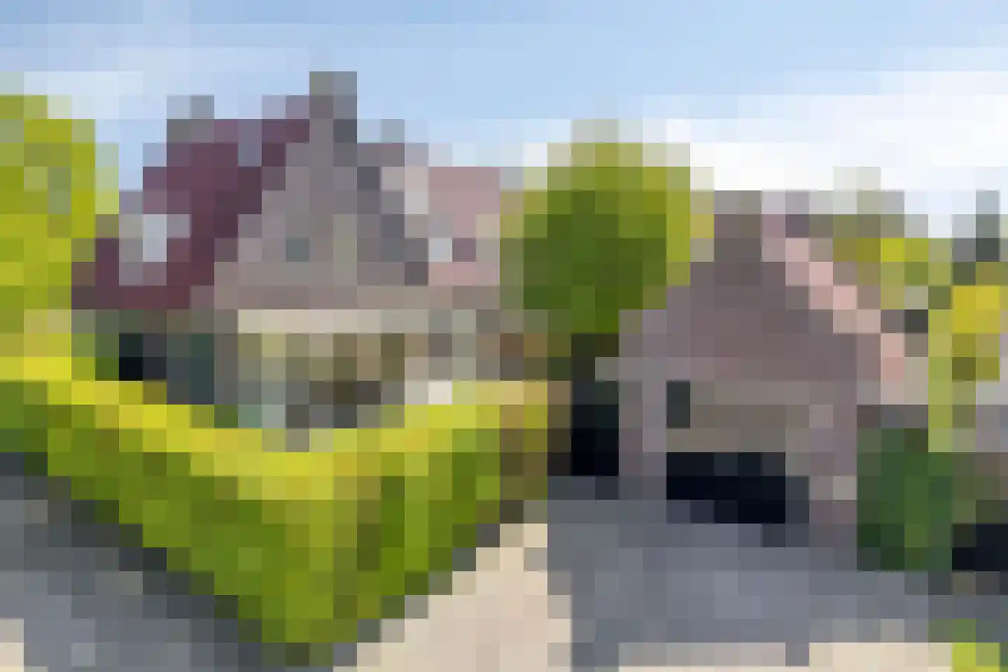 Zandershoeve 36 Helmond thumbnail 53