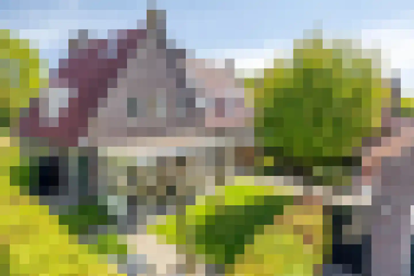 Zandershoeve 36 Helmond thumbnail 55
