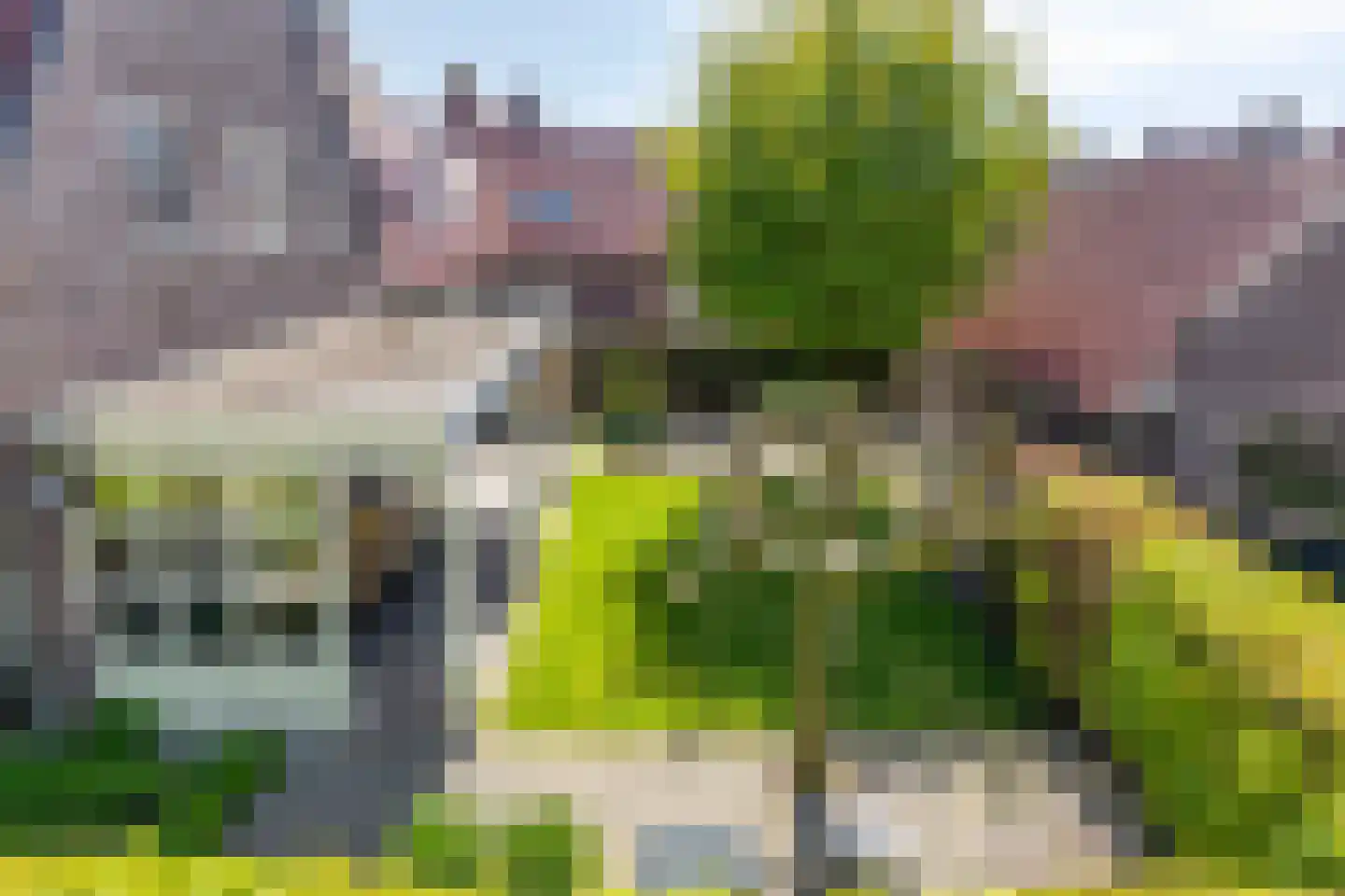 Zandershoeve 36 Helmond thumbnail 57