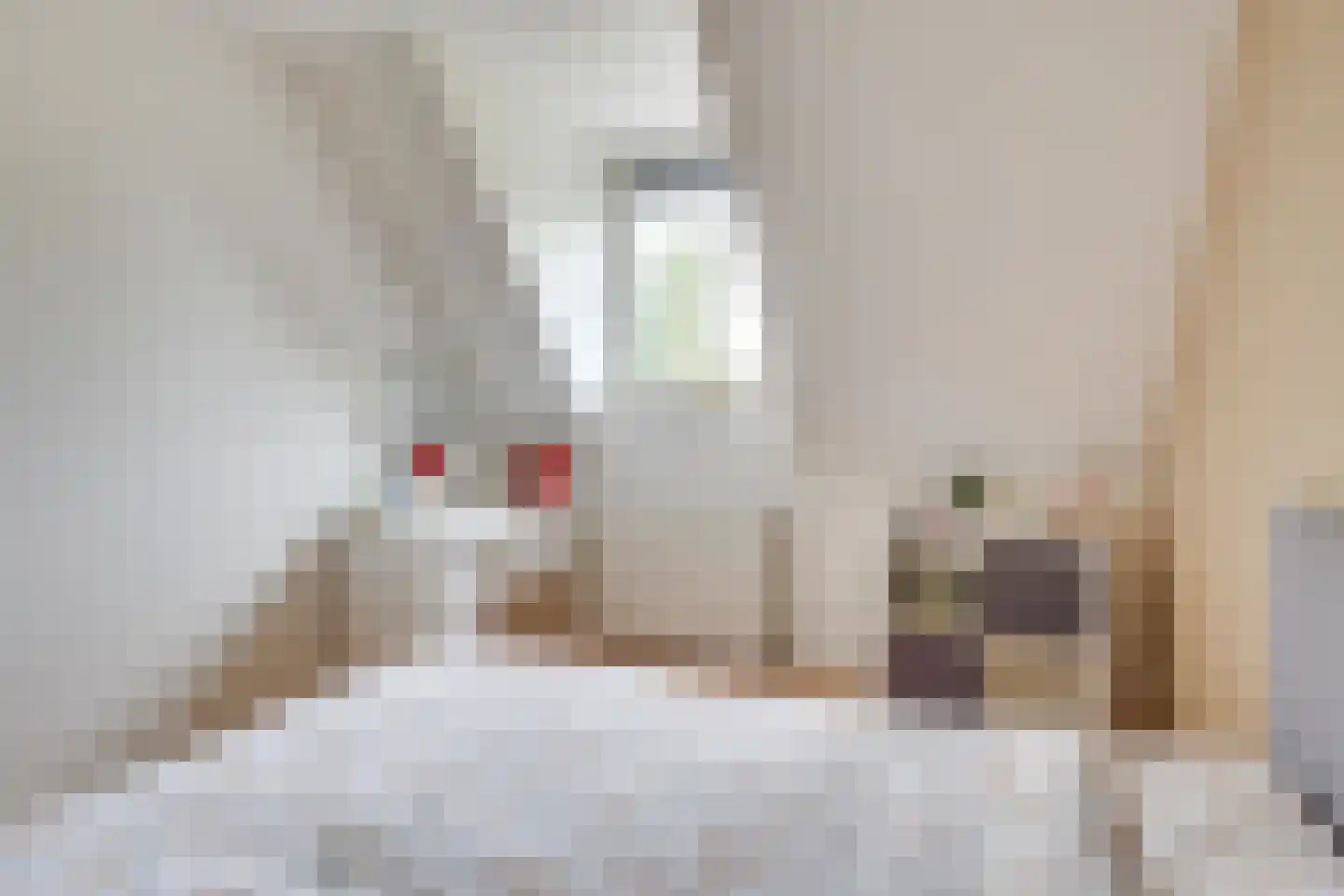 Zandershoeve 70 Helmond thumbnail 29