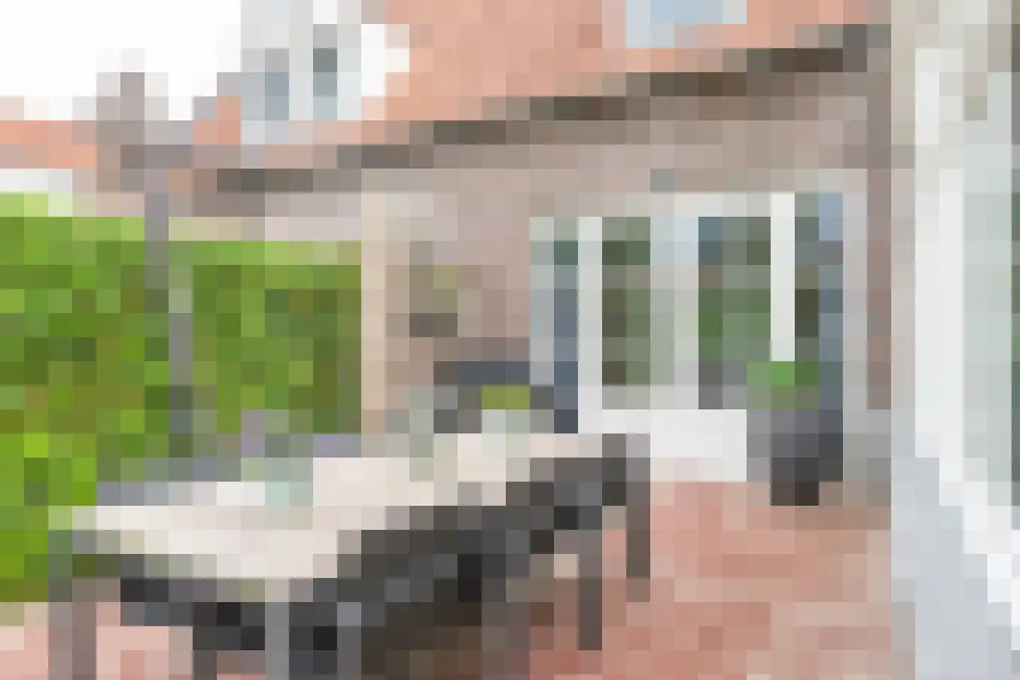 Zandershoeve 70 Helmond thumbnail 39