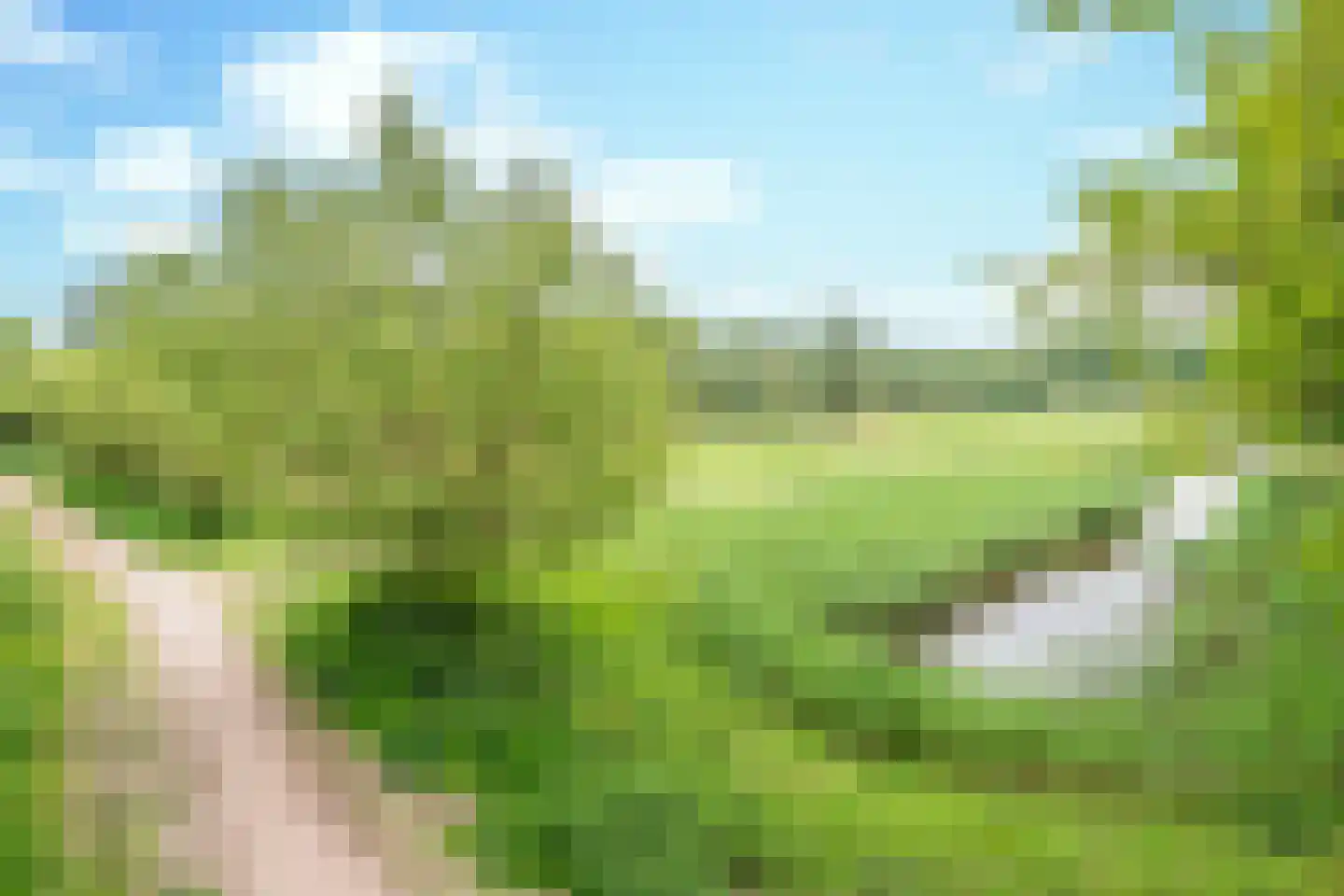 Zandershoeve 70 Helmond thumbnail 45