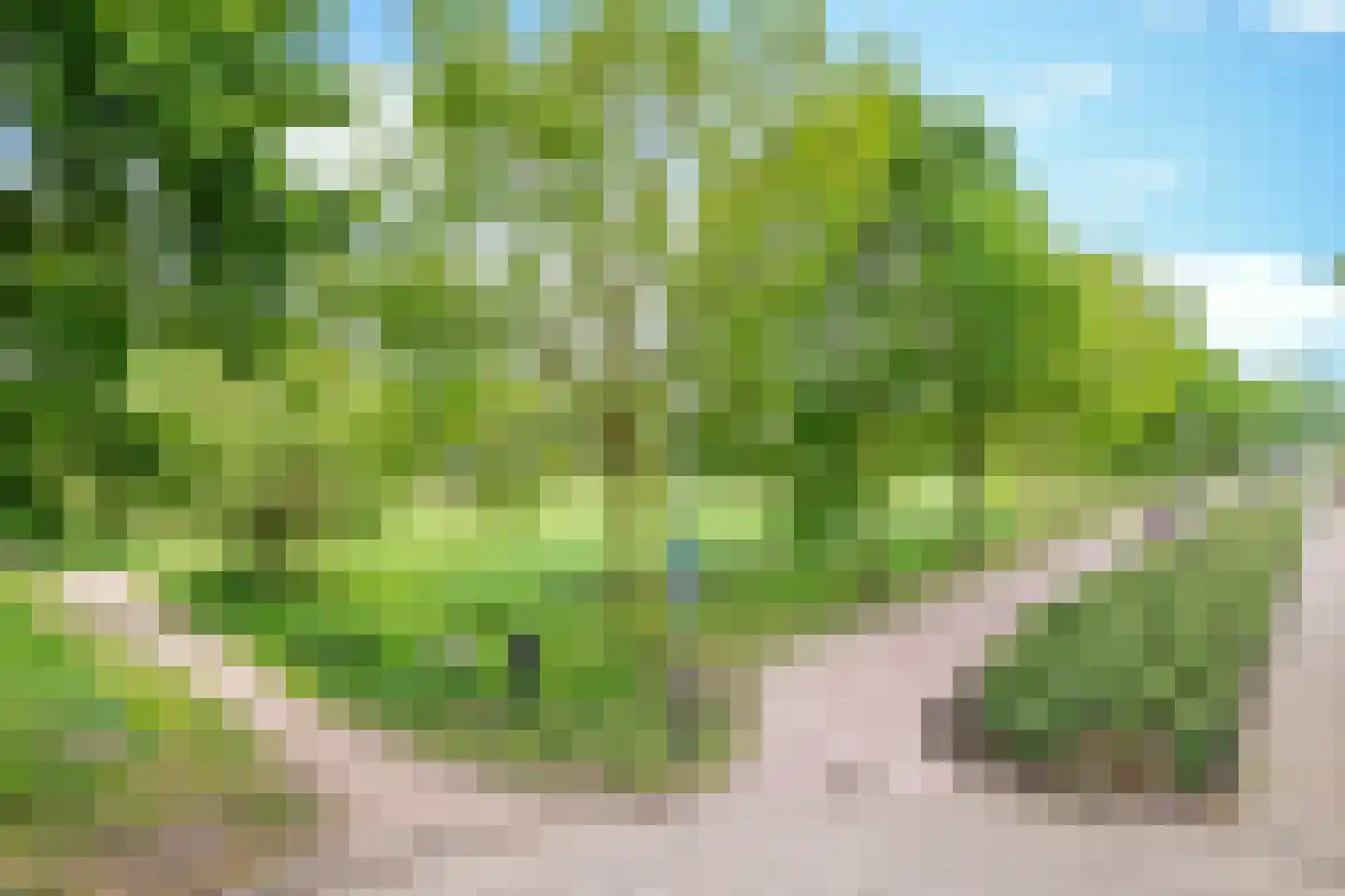 Zandershoeve 70 Helmond thumbnail 47