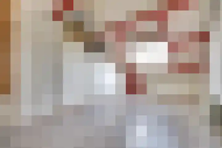 Zanderskamp 14 Doesburg thumbnail 25