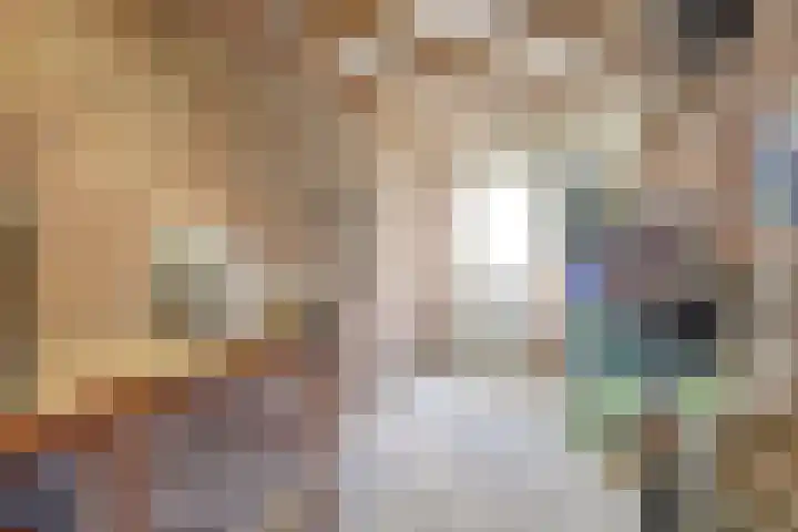Zanderskamp 14 Doesburg thumbnail 29