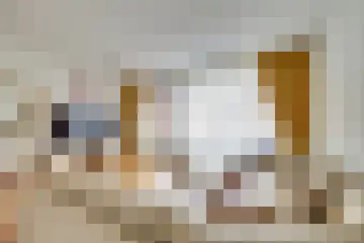 Zanderskamp 14 Doesburg thumbnail 9