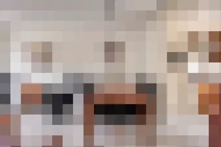 Zanderskamp 20 Doesburg thumbnail 10