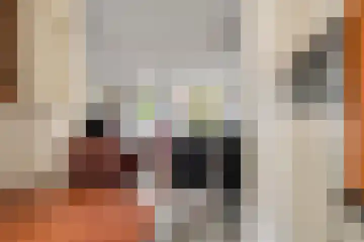 Zanderskamp 20 Doesburg thumbnail 13