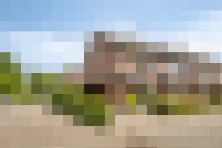 Zanderskamp 20 Doesburg foto 2