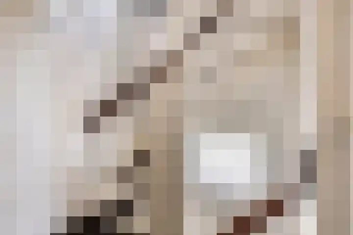 Zanderskamp 20 Doesburg thumbnail 27
