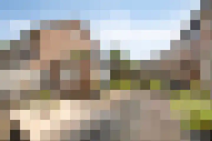 Zanderskamp 20 Doesburg foto 3