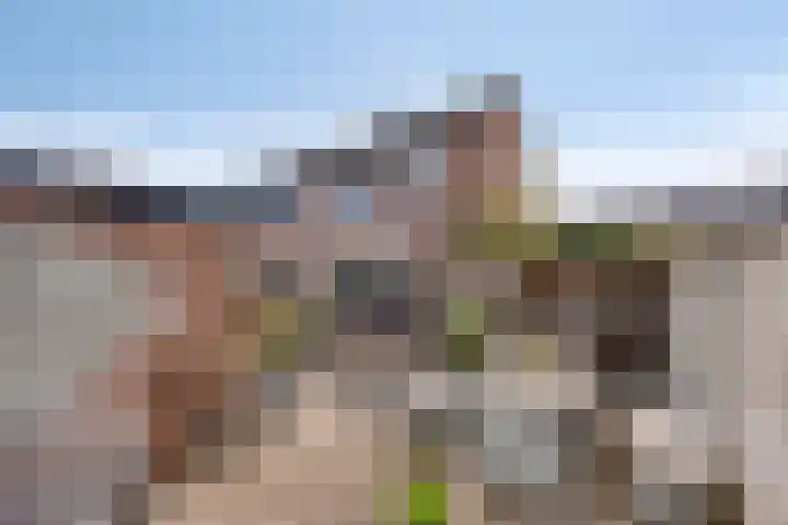 Zanderskamp 20 Doesburg thumbnail 37