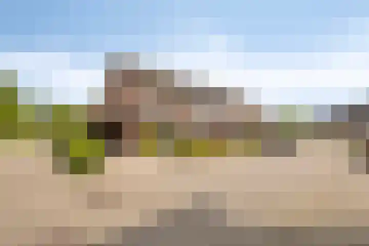 Zanderskamp 20 Doesburg thumbnail 38