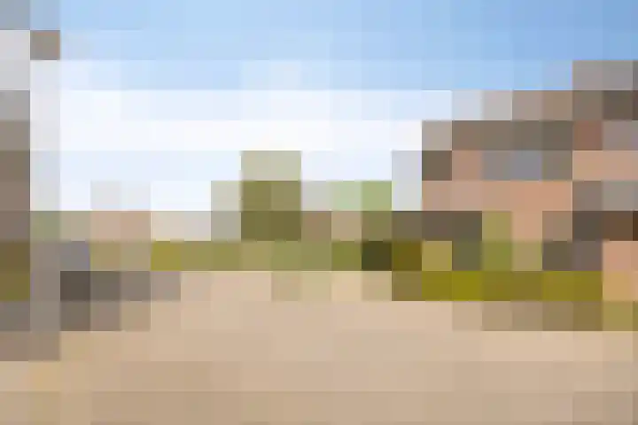 Zanderskamp 20 Doesburg thumbnail 39