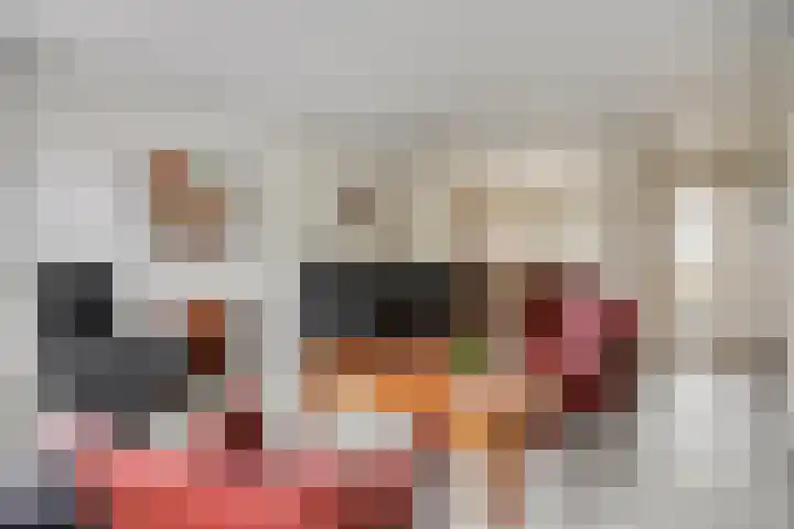 Zanderskamp 20 Doesburg thumbnail 4