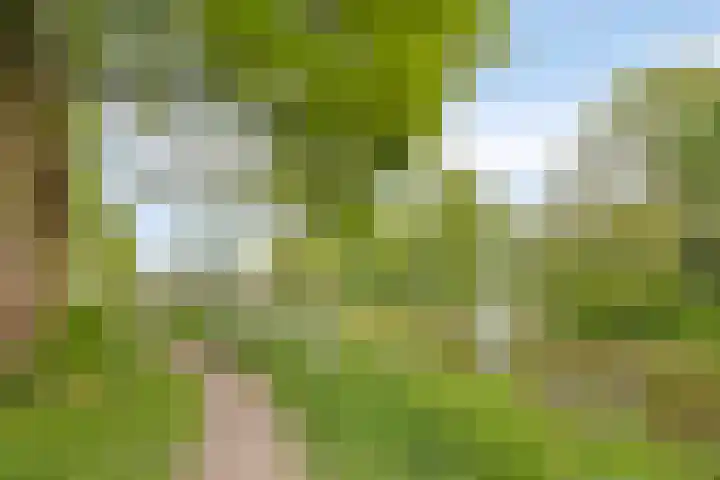 Zanderskamp 20 Doesburg thumbnail 42