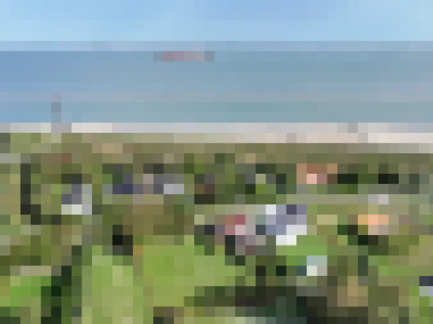 Zandertje 15 Breskens